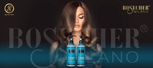 Bosecher Banner Web (1)