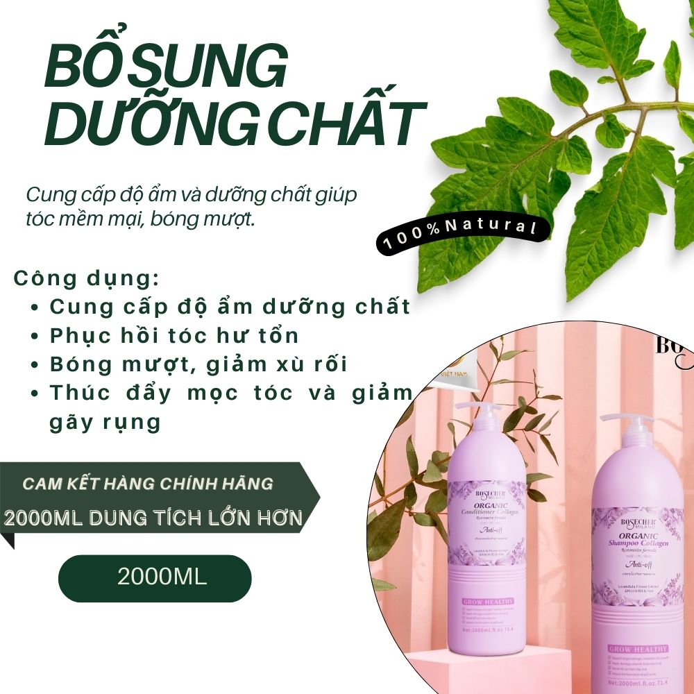 Gx Biotin Bosecher 2000 2 Gx Biotin Bosecher 2000 2