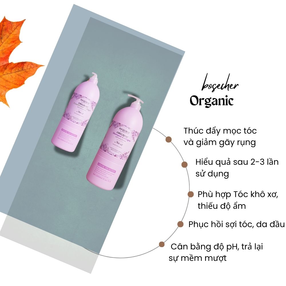 Gx Biotin Bosecher 2000 3 Gx Biotin Bosecher 2000 3