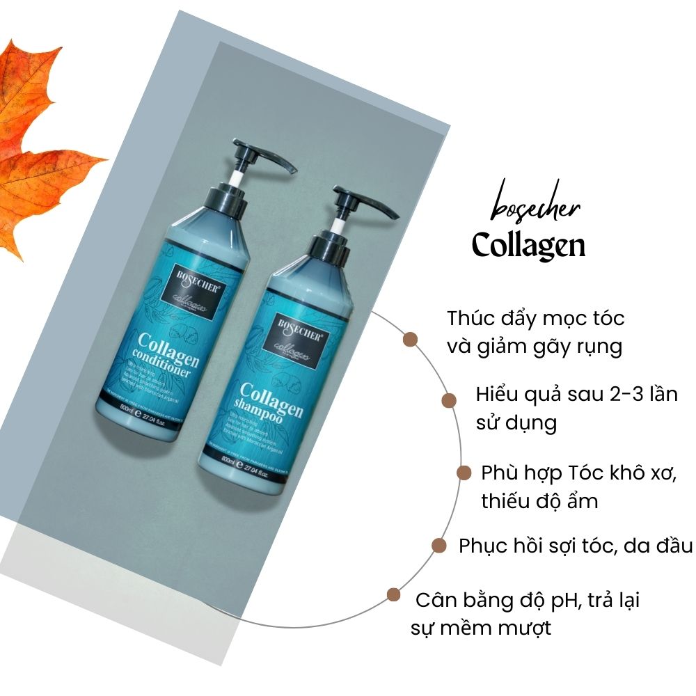 Gx Collagen Bosecher 800 2 Gx Collagen Bosecher 800 2