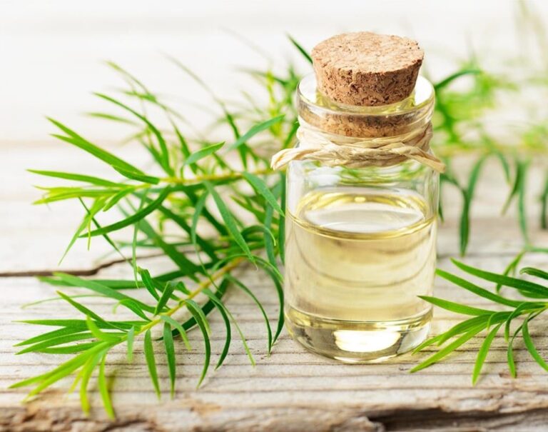 Mách bạn 4 mẹo điều trị mái tóc bết dầu mà bạn không nên bỏ qua