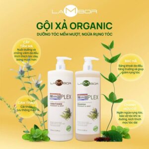 Cặp gội xả lambor vegan organic ngăn ngừa rụng tóc