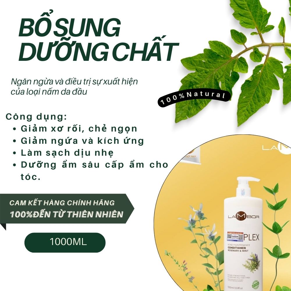 Gx Bac Ha Lambor 800ml 2 Gx Bac Ha Lambor 800ml 2