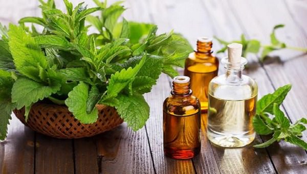 Tinh dầu dưỡng tóc Bạc Hà