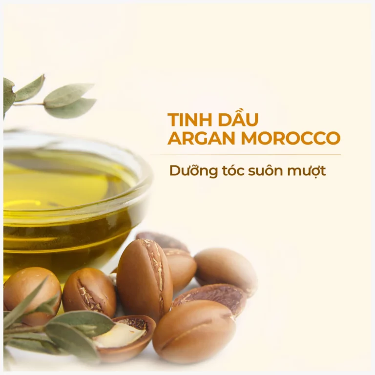 Tinh dầu Argan – 5 Bí quyết dưỡng tóc mềm mượt