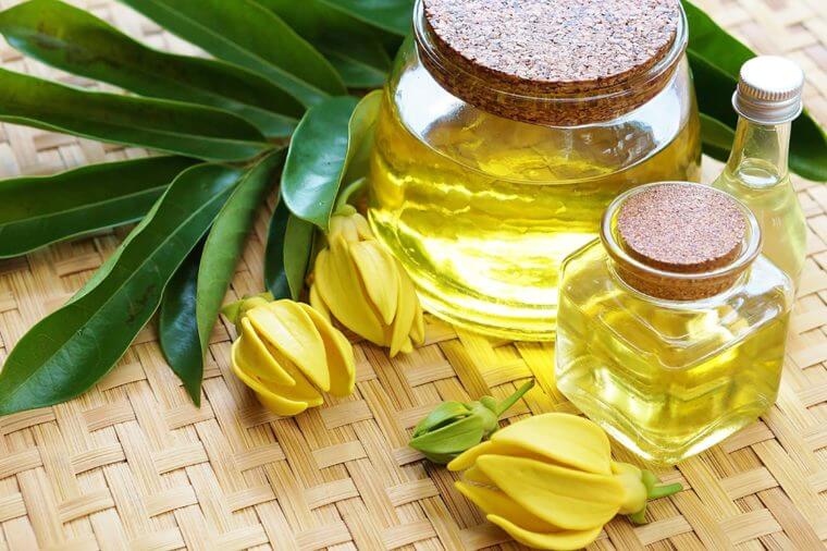 Tinh dầu dưỡng tóc Ngọc Lan Tây