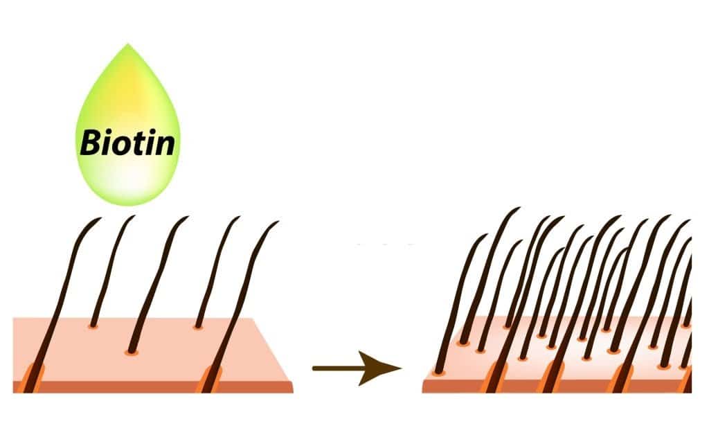 Biotin Chống Rụng Tóc Và Kích Thích Mọc Tóc Hiệu Quả