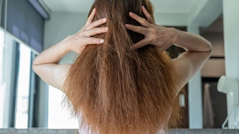 Vì Sao Tóc Dễ Hư Tổn Vào Mùa Đông