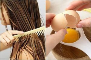 Ủ tóc bằng trứng gà cũng có công dụng giống như ủ tóc bằng bia