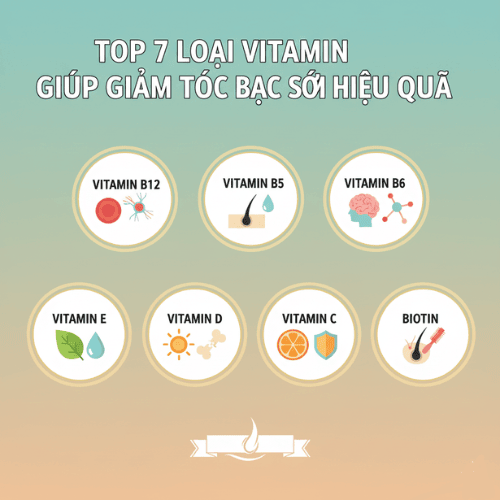 Top 7 Loại Vitamin Giúp Giảm Tóc Bạc Sớm Hiệu Quả