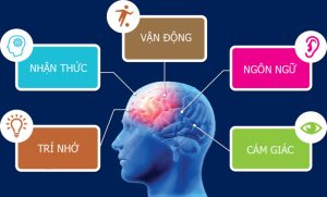 công dụng vitamin b3